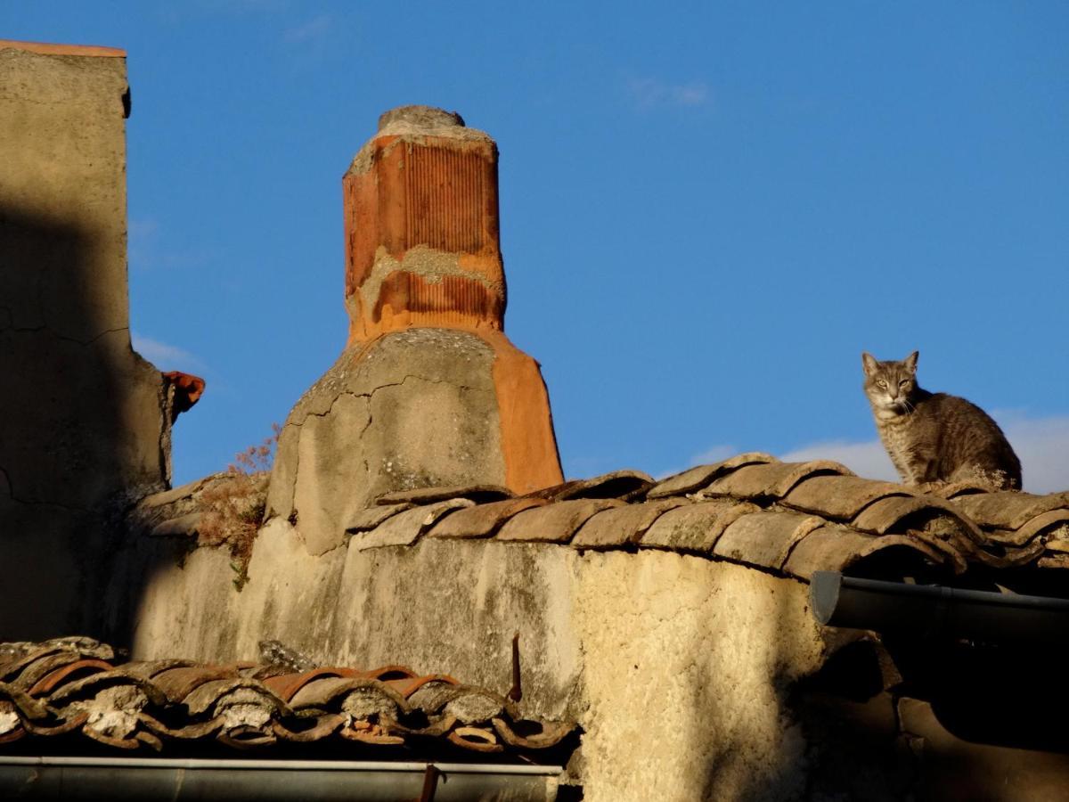 La Marisol Villa LʼIsle-sur-la-Sorgue Eksteriør billede
